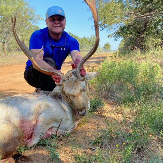 Fallow Deer Hunt in Texas